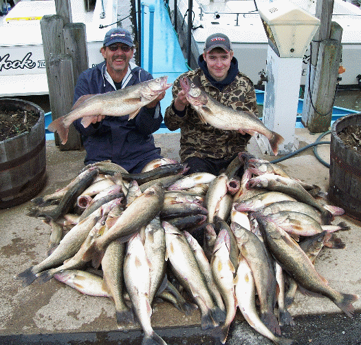 lake erie charters for walleyes